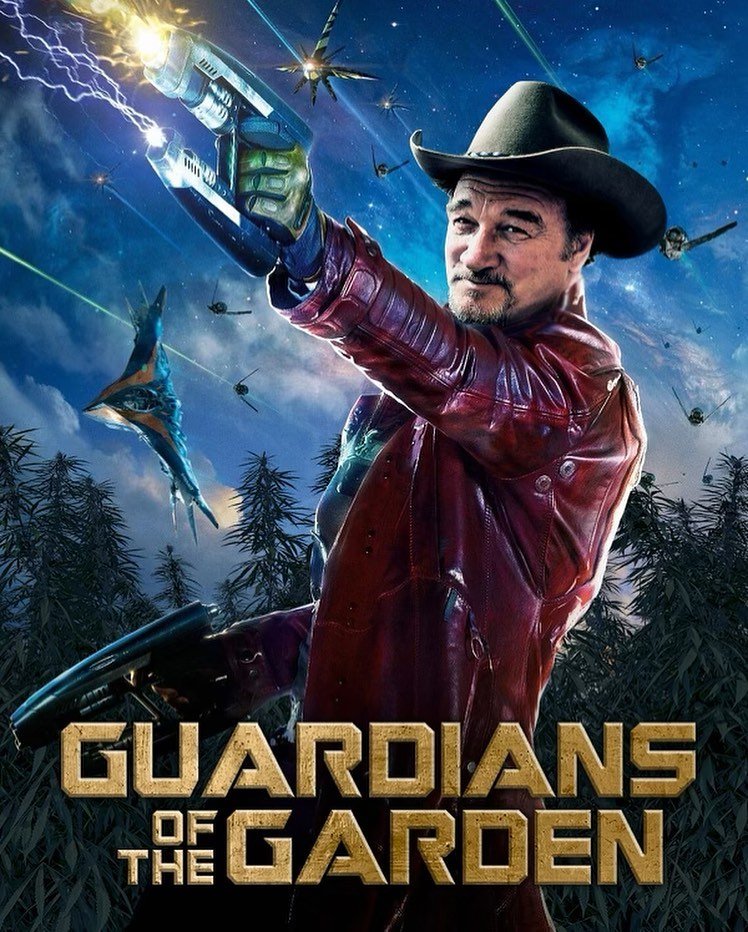 Guardians