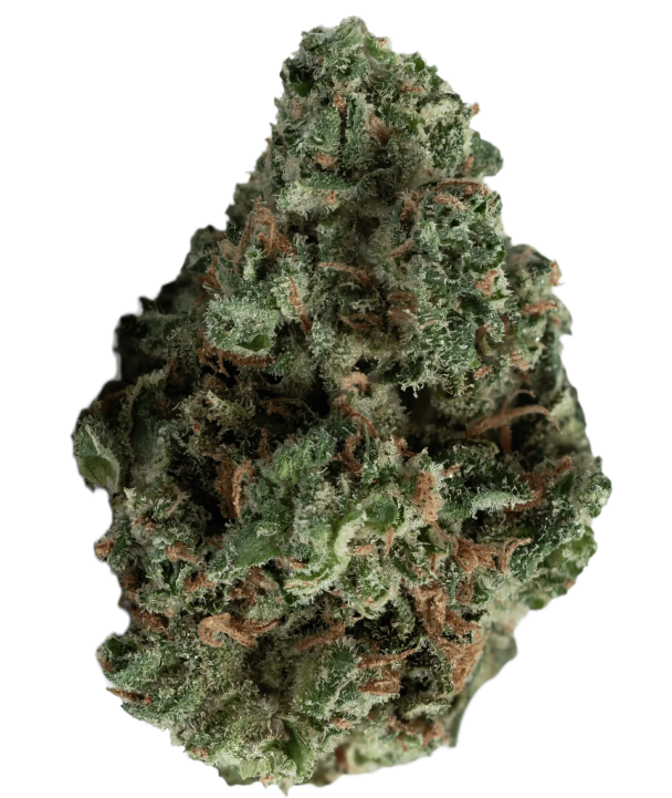dreadbread-1