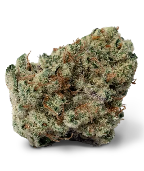 Black Ice