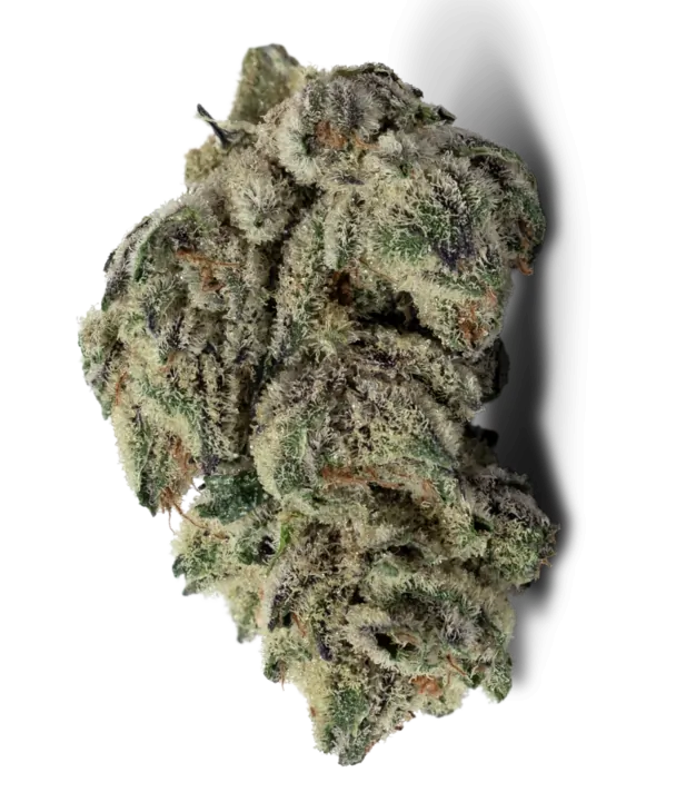 Oreoz