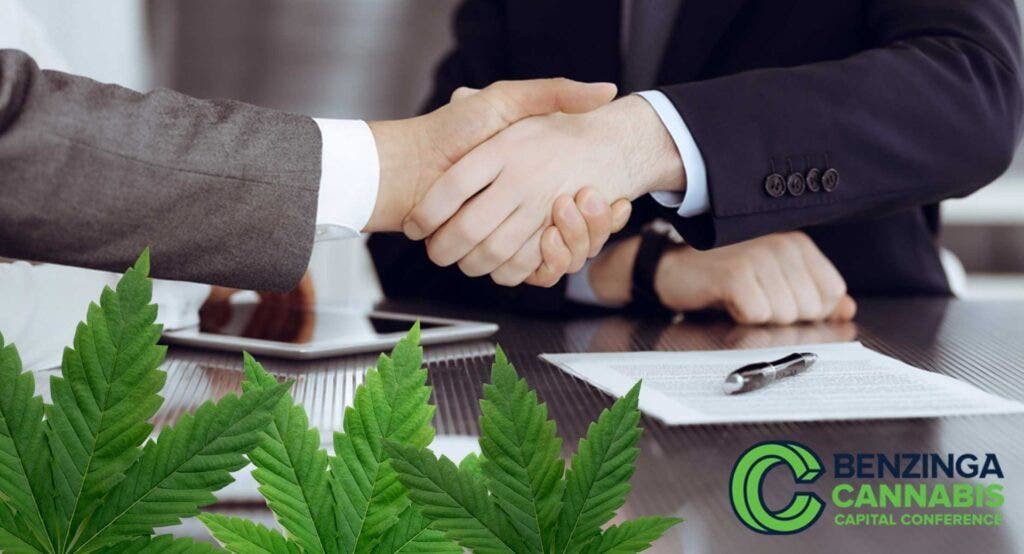 Benzinga Cannabis