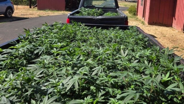 GreenState