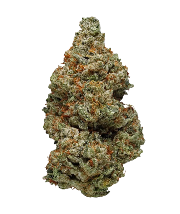 SAGE